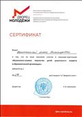 Сертификат Министерства общего образования и молодёжной политики Свердловской  области, ГАНОУ СО "Дворец молодёжи"