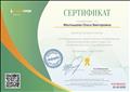Сертификат ООО  "Инфоурок" об участии во II Международном педагогическом "Инфофоруме"  
